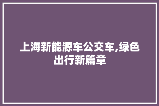 上海新能源车公交车,绿色出行新篇章