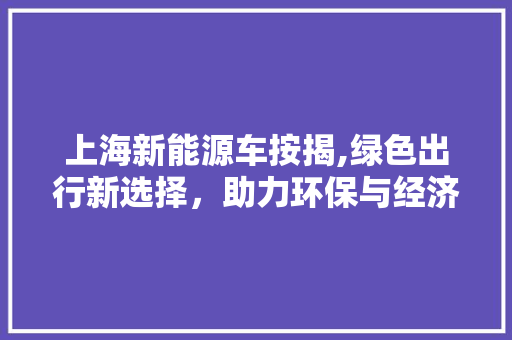 上海新能源车按揭,绿色出行新选择，助力环保与经济双赢