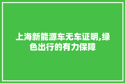 上海新能源车无车证明,绿色出行的有力保障