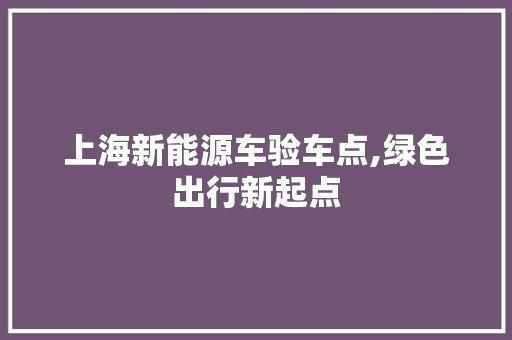 上海新能源车验车点,绿色出行新起点