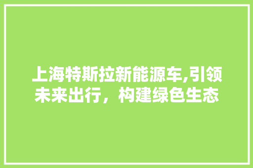 上海特斯拉新能源车,引领未来出行，构建绿色生态