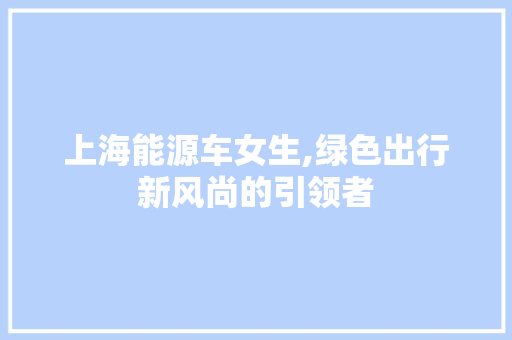 上海能源车女生,绿色出行新风尚的引领者