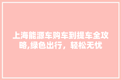 上海能源车购车到提车全攻略,绿色出行，轻松无忧