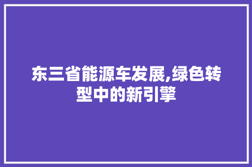 东三省能源车发展,绿色转型中的新引擎