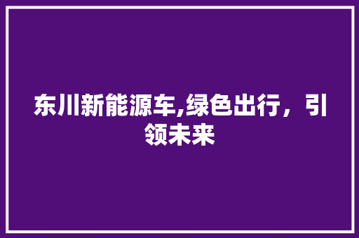 东川新能源车,绿色出行，引领未来