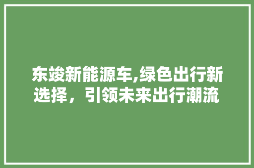 东竣新能源车,绿色出行新选择，引领未来出行潮流