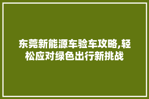 东莞新能源车验车攻略,轻松应对绿色出行新挑战