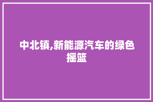 中北镇,新能源汽车的绿色摇篮