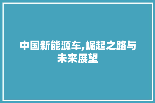 中国新能源车,崛起之路与未来展望