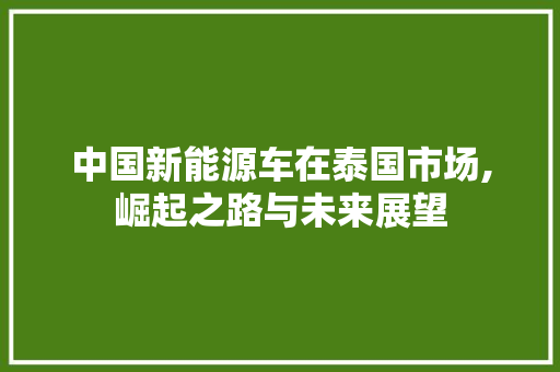 中国新能源车在泰国市场,崛起之路与未来展望