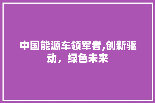 中国能源车领军者,创新驱动，绿色未来