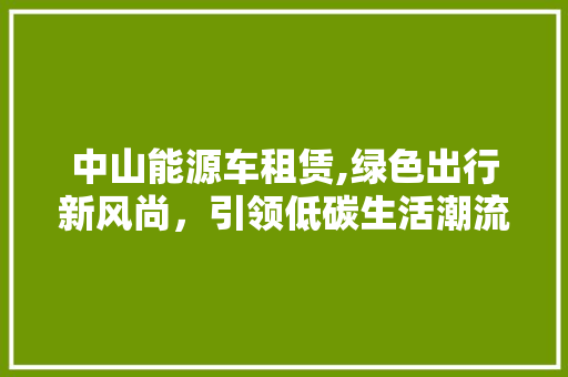 中山能源车租赁,绿色出行新风尚，引领低碳生活潮流