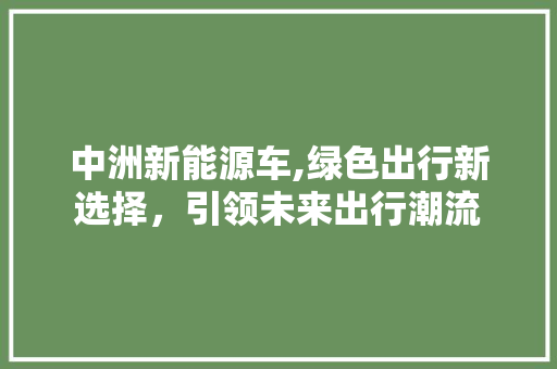 中洲新能源车,绿色出行新选择，引领未来出行潮流