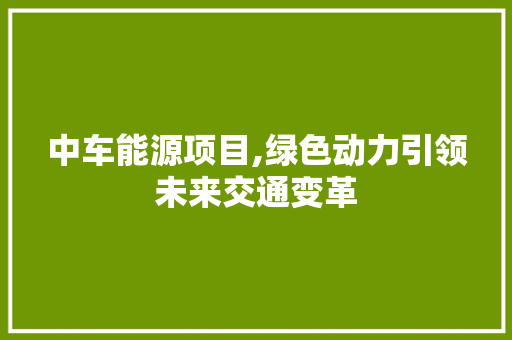 中车能源项目,绿色动力引领未来交通变革