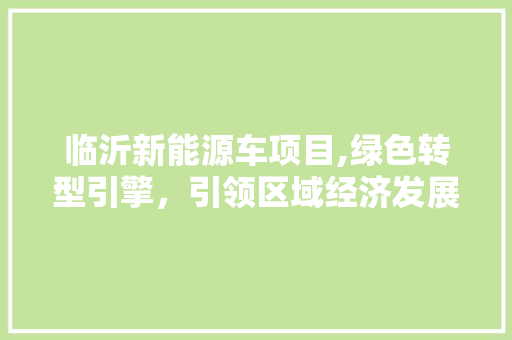 临沂新能源车项目,绿色转型引擎，引领区域经济发展新潮流