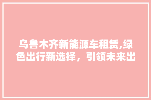 乌鲁木齐新能源车租赁,绿色出行新选择，引领未来出行潮流  第1张