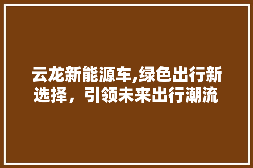 云龙新能源车,绿色出行新选择，引领未来出行潮流