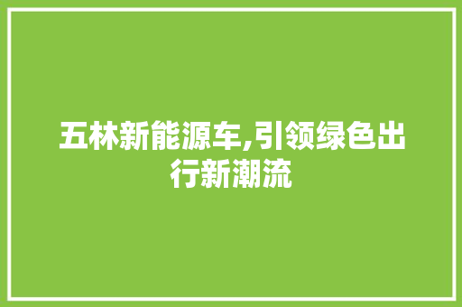 五林新能源车,引领绿色出行新潮流