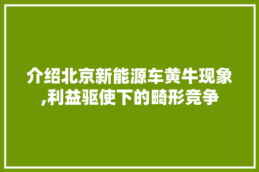 介绍北京新能源车黄牛现象,利益驱使下的畸形竞争  第1张