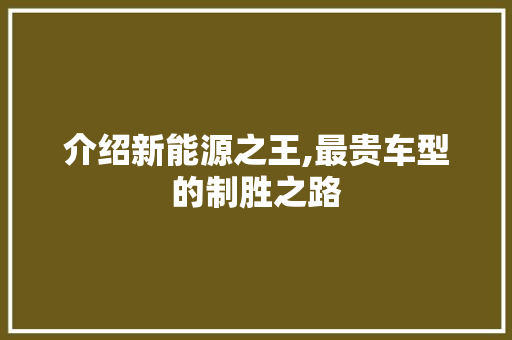 介绍新能源之王,最贵车型的制胜之路