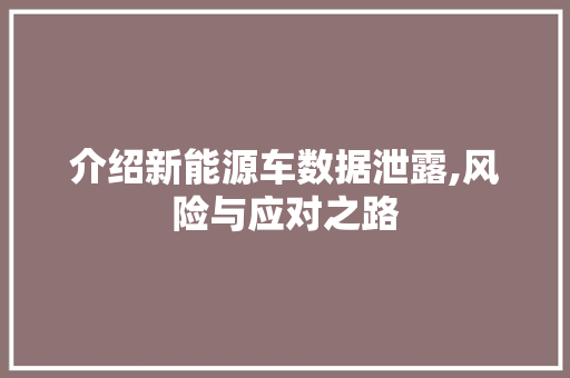 介绍新能源车数据泄露,风险与应对之路