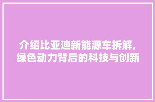 介绍比亚迪新能源车拆解,绿色动力背后的科技与创新