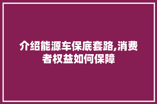 介绍能源车保底套路,消费者权益如何保障