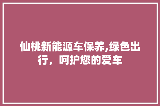 仙桃新能源车保养,绿色出行，呵护您的爱车