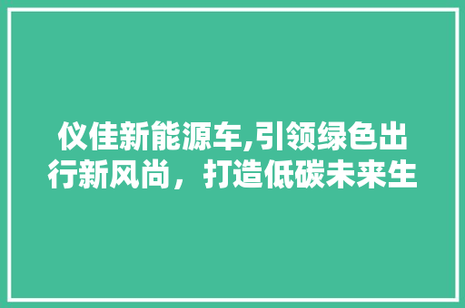 仪佳新能源车,引领绿色出行新风尚，打造低碳未来生活