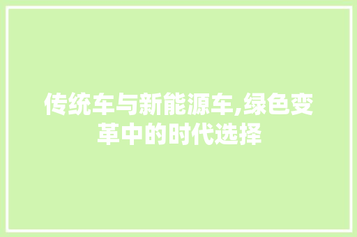 传统车与新能源车,绿色变革中的时代选择