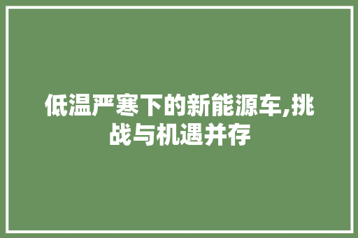 低温严寒下的新能源车,挑战与机遇并存