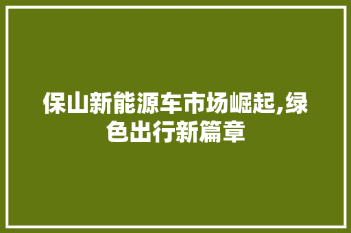 保山新能源车市场崛起,绿色出行新篇章