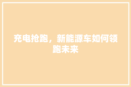 充电抢跑，新能源车如何领跑未来