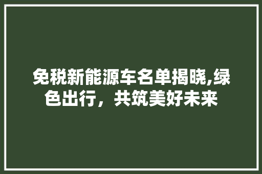 免税新能源车名单揭晓,绿色出行，共筑美好未来