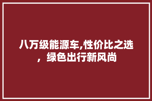 八万级能源车,性价比之选，绿色出行新风尚