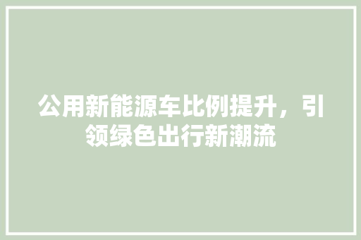 公用新能源车比例提升，引领绿色出行新潮流