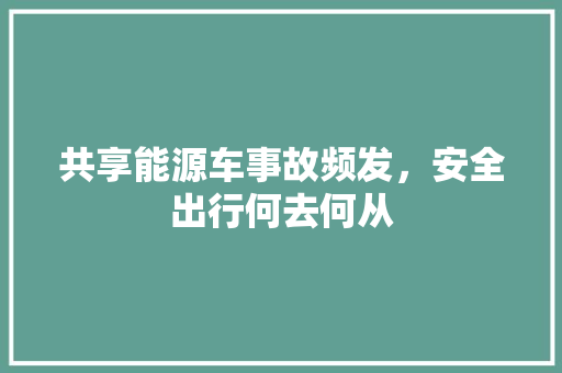 共享能源车事故频发，安全出行何去何从