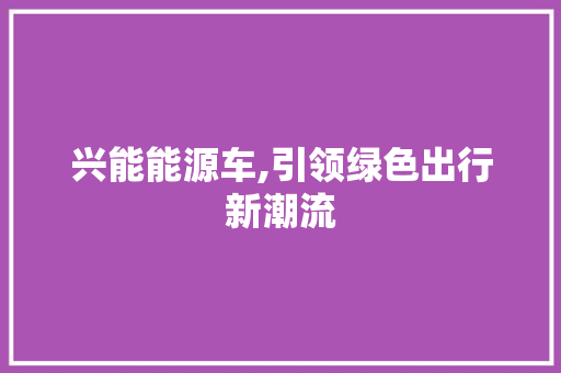 兴能能源车,引领绿色出行新潮流