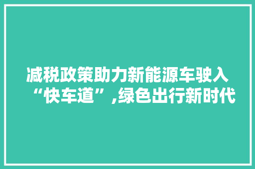 减税政策助力新能源车驶入“快车道”,绿色出行新时代