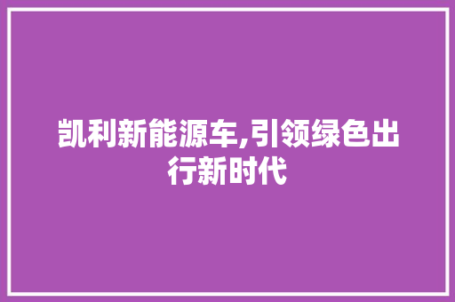 凯利新能源车,引领绿色出行新时代