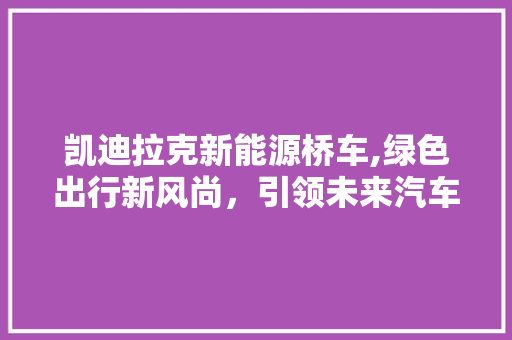 凯迪拉克新能源桥车,绿色出行新风尚，引领未来汽车潮流