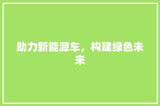 助力新能源车，构建绿色未来