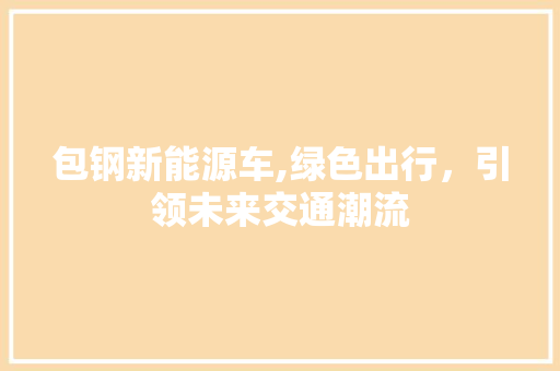 包钢新能源车,绿色出行，引领未来交通潮流