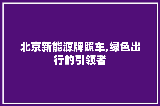 北京新能源牌照车,绿色出行的引领者