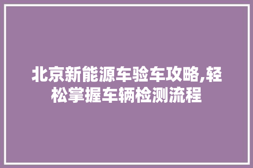 北京新能源车验车攻略,轻松掌握车辆检测流程