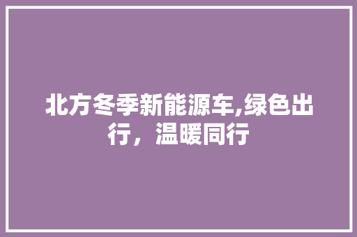 北方冬季新能源车,绿色出行，温暖同行