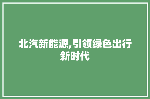 北汽新能源,引领绿色出行新时代