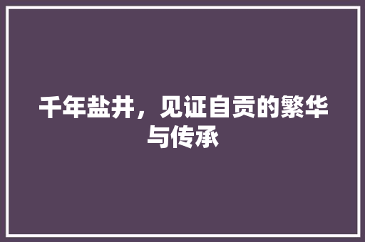 千年盐井，见证自贡的繁华与传承