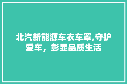 北汽新能源车衣车罩,守护爱车，彰显品质生活