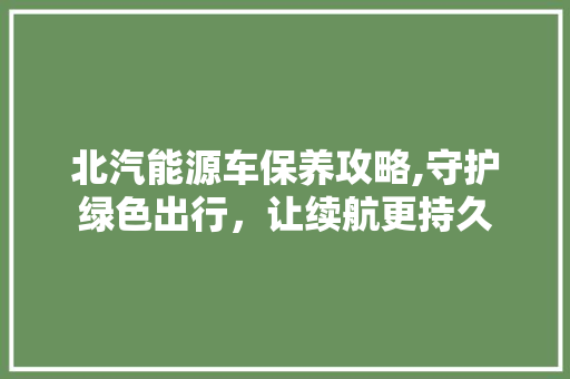 北汽能源车保养攻略,守护绿色出行，让续航更持久